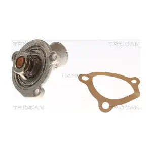 302292 BorgWarner