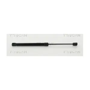 312031 TRISCAN