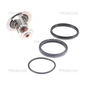8620 46392 TRISCAN