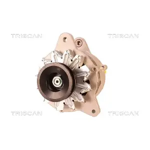 TRISCAN 8310 24002
