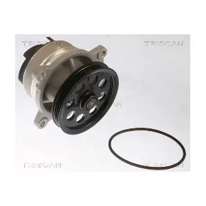 TRISCAN 860016076
