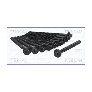 98-6012 TRISCAN