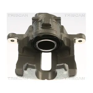 TRISCAN 8175 17207