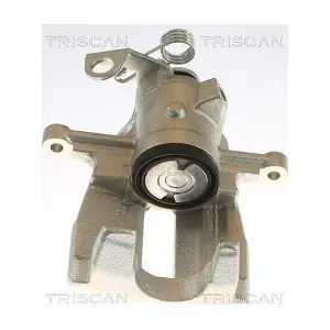 8175 29219 TRISCAN
