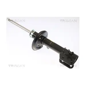 8705 21102 TRISCAN