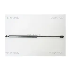 8710 13266 TRISCAN