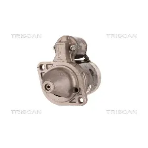 TRISCAN 8305 29038