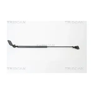 431015 TRISCAN