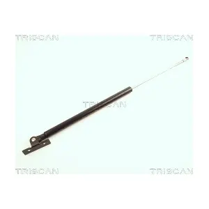 8710 24103 TRISCAN