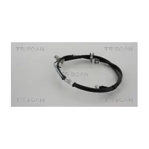 8140.131196 TRISCAN
