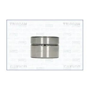 80-10002 TRISCAN