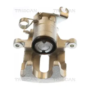 TRISCAN 8175 42214