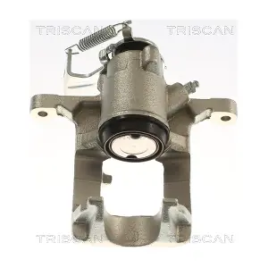TRISCAN 8175 24241
