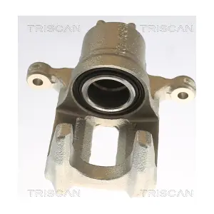 TRISCAN 8175 40204
