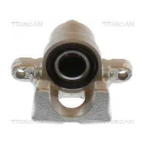 8175 13227 TRISCAN