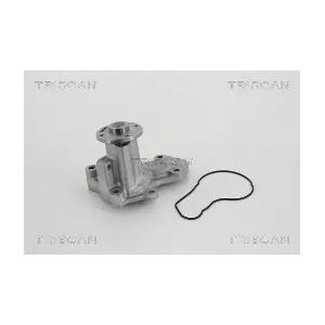 860042020 TRISCAN