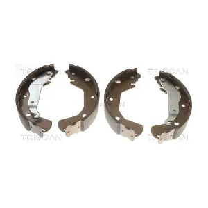 TRISCAN 8100 21004