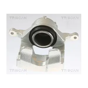 8175 10124 TRISCAN