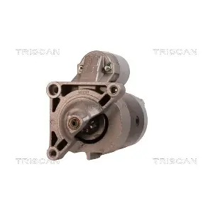 8305 10114 TRISCAN