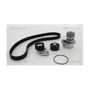 TRISCAN 8647 210001