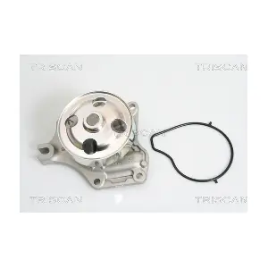 860050008 TRISCAN