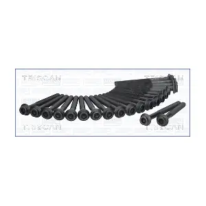 TRISCAN 98-4119