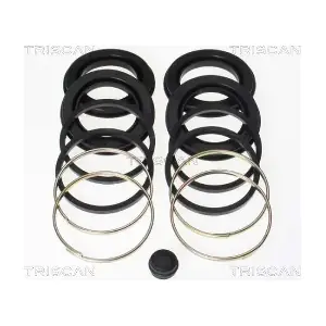 8170204208 TRISCAN