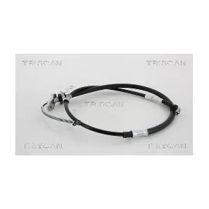 8140.131195 TRISCAN