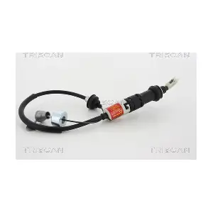 TRISCAN 814010216