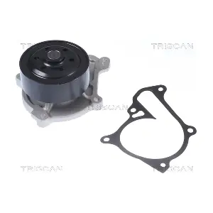 860050013 TRISCAN