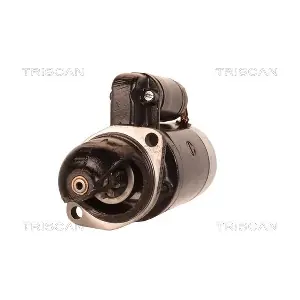 TRISCAN 8305 29047