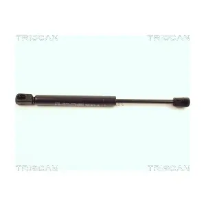 8710 29113 TRISCAN