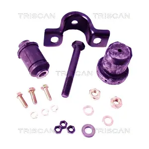 850029020 TRISCAN