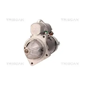 TRISCAN 8305 10024