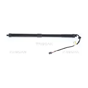 8710 17301 TRISCAN