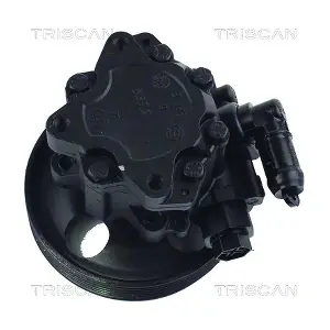 8515 28629 TRISCAN