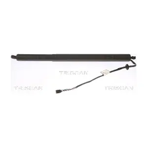 8710 43302 TRISCAN