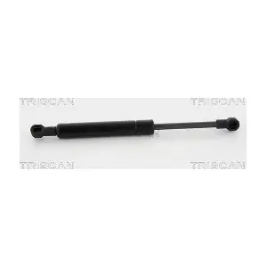 871020107 TRISCAN