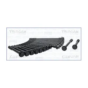 300032 TRISCAN