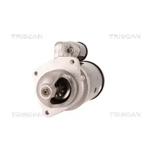 8305 13009 TRISCAN