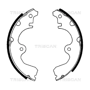 TRISCAN 810013534