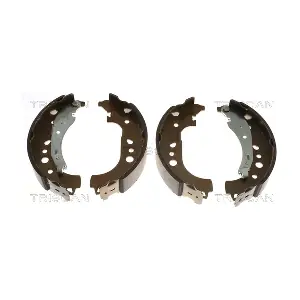 8100 25007 TRISCAN