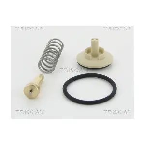 862024987 TRISCAN