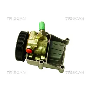 TRISCAN 851516622