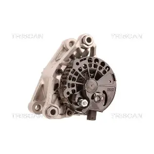 TRISCAN 8310 16013