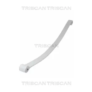 8765 10010 TRISCAN