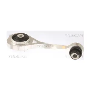 8505 10111 TRISCAN