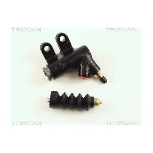 813050306 TRISCAN