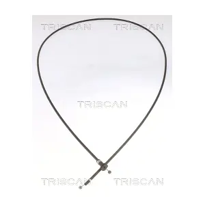 8140 29628 TRISCAN
