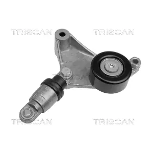 TRISCAN 8641 133001
